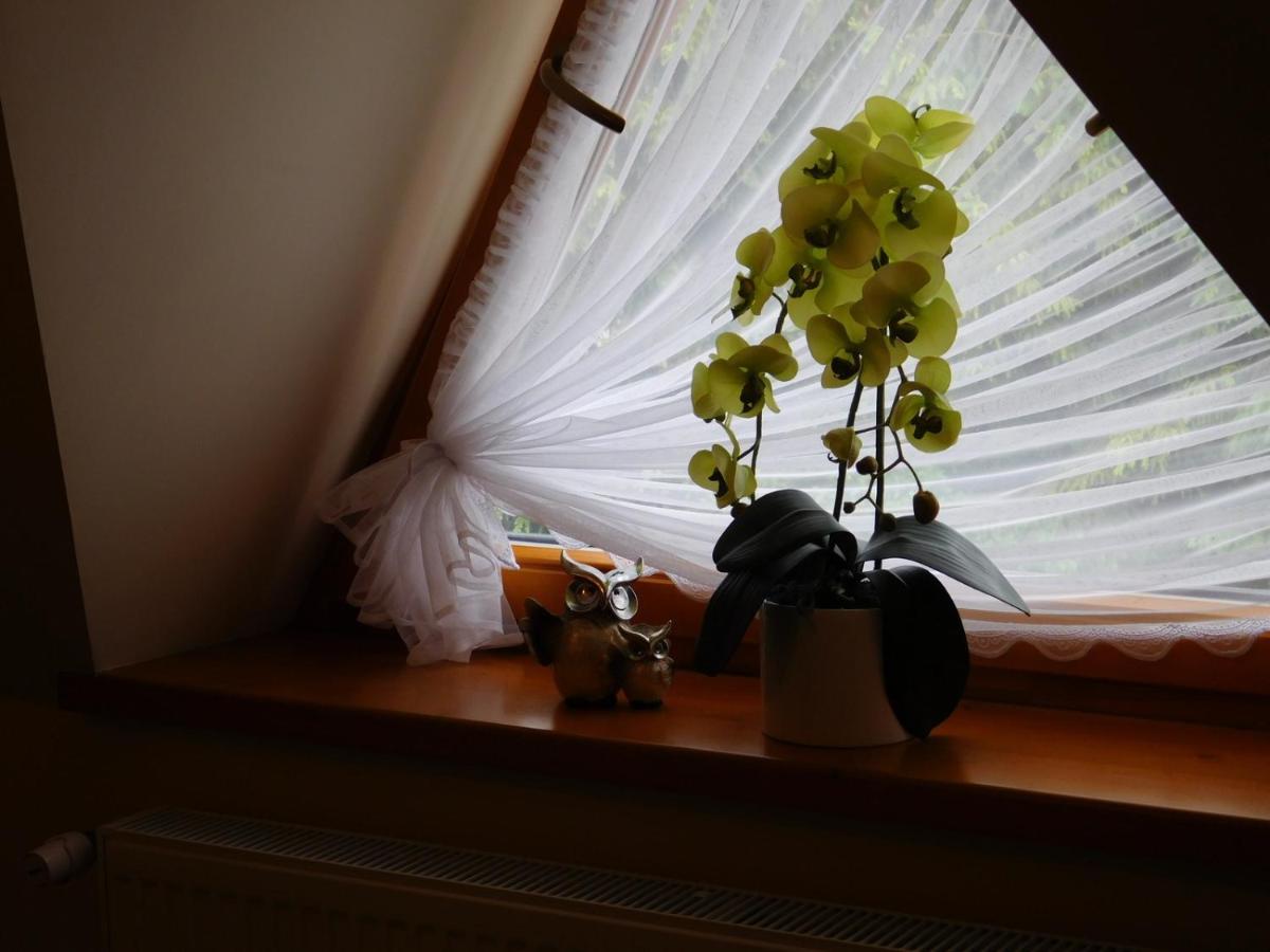 Apartament W Rowni 호호우프 외부 사진